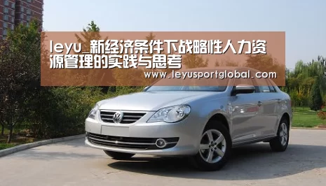 leyu_新经济条件下战略性人力资源管理的实践与思考(图3) 乐鱼官网