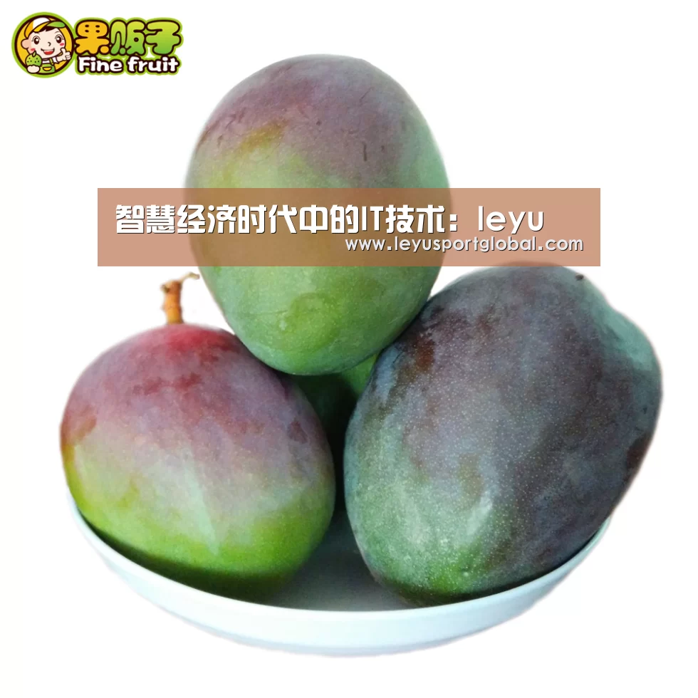智慧经济时代中的IT技术:leyu(图2) 乐鱼登陆入口