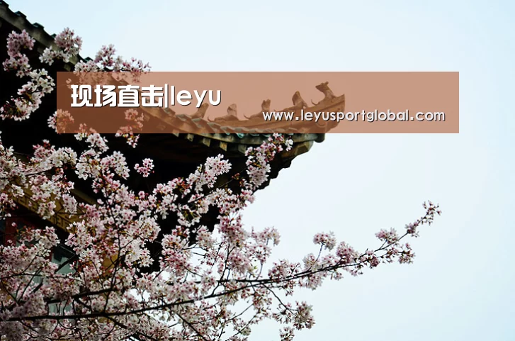 现场直击|leyu(图2)
现场直击|leyu(图2)